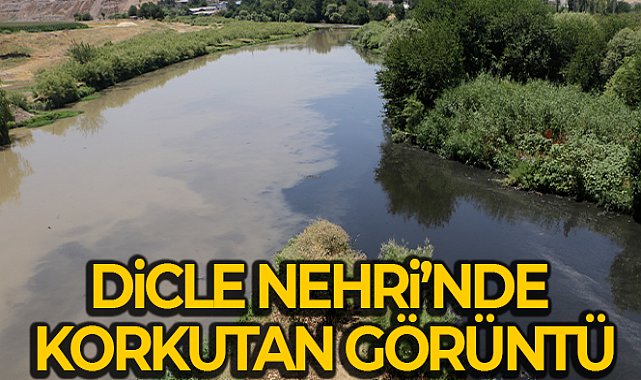 Dicle Nehri’nde korkutan görüntü