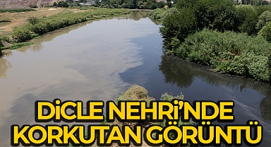 Dicle Nehri’nde korkutan görüntü