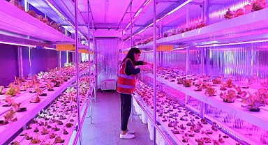 Dikey topraksız tarım başlıyor