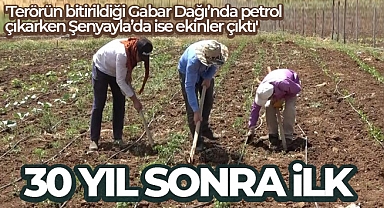 Muş'ta 30 yıl sonra bir ilk: Köylerine dönüp tarıma başladılar