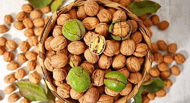 Yerli cevizde verimi artırmak için üreticilere çağrı